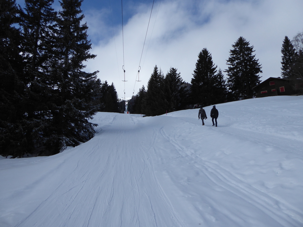 p1150253r1rfy.jpg