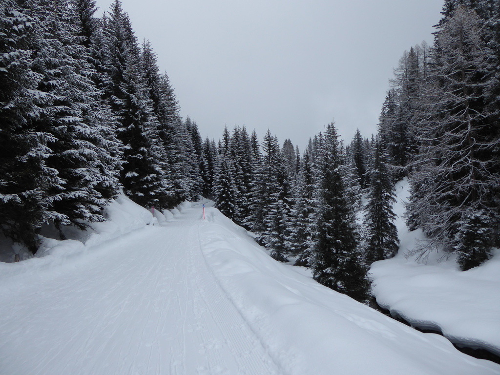 p11502843oors.jpg