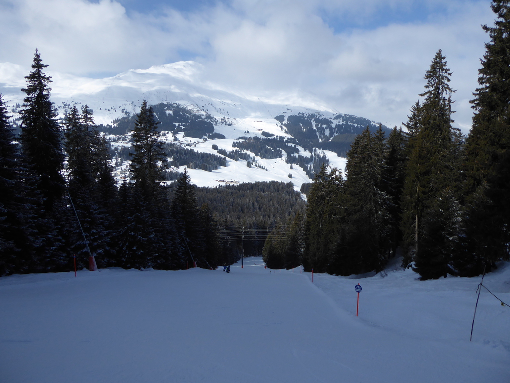 p1150630e6o7l.jpg