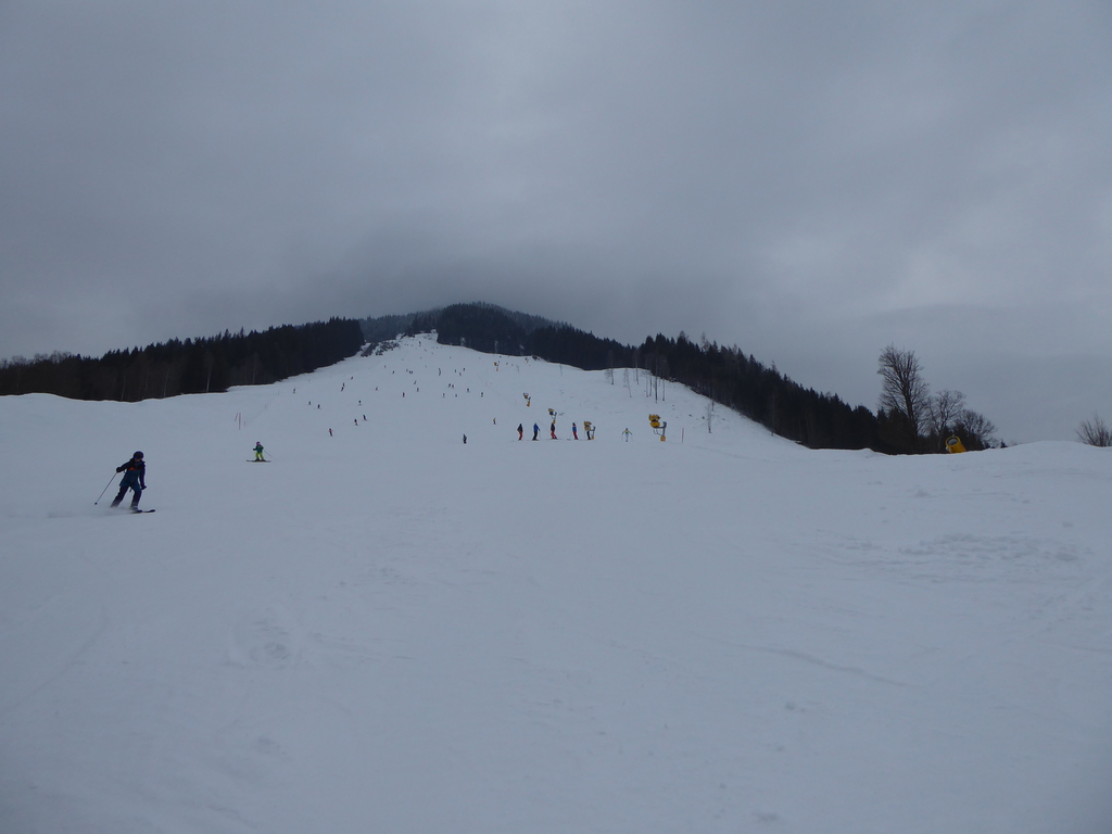 p115095320s15.jpg