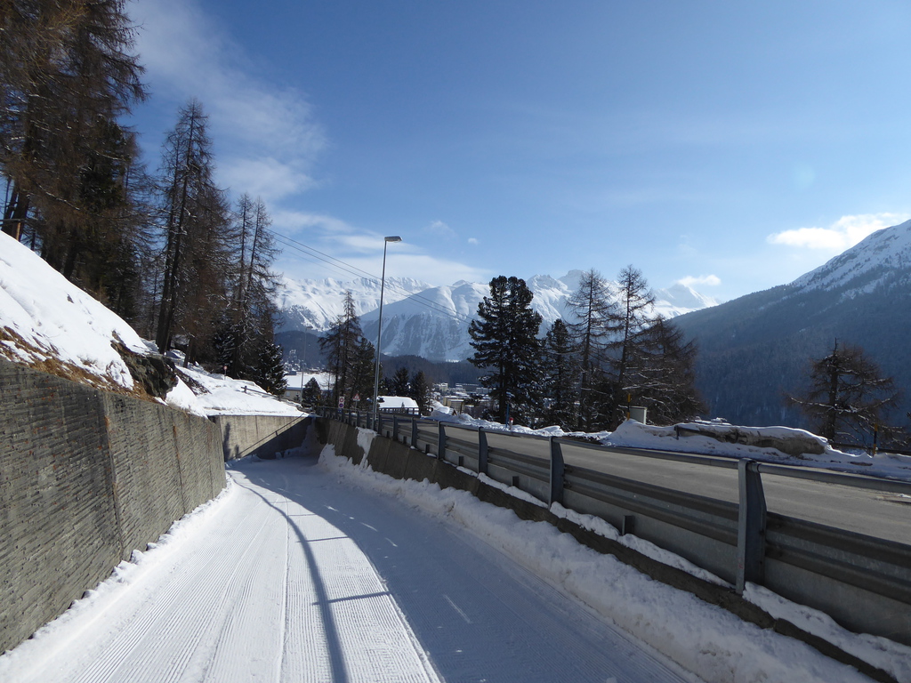 p1160476yru1y.jpg