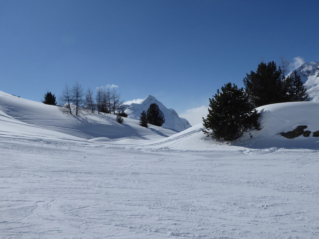 p116095566s3w.jpg