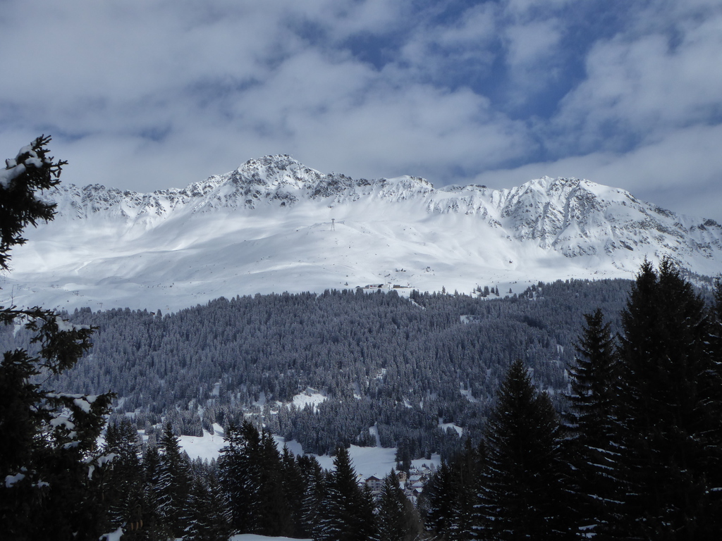 p11701214go0a.jpg