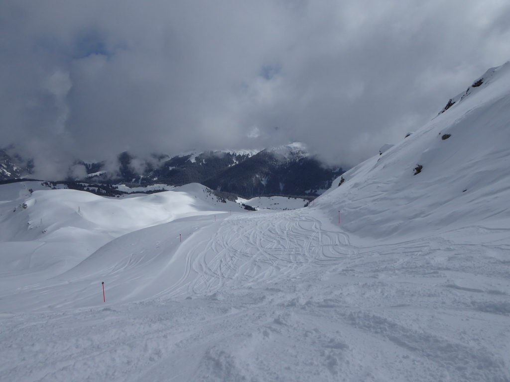p11702155bq2y.jpg
