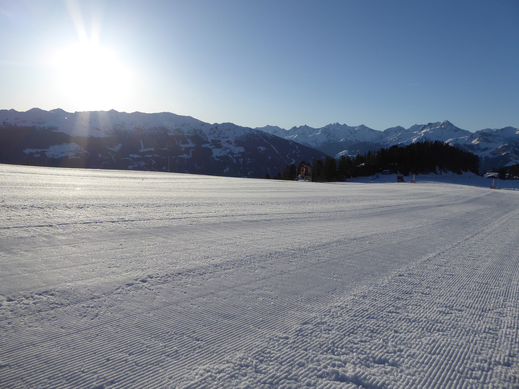 p1170530gvs0q.jpg