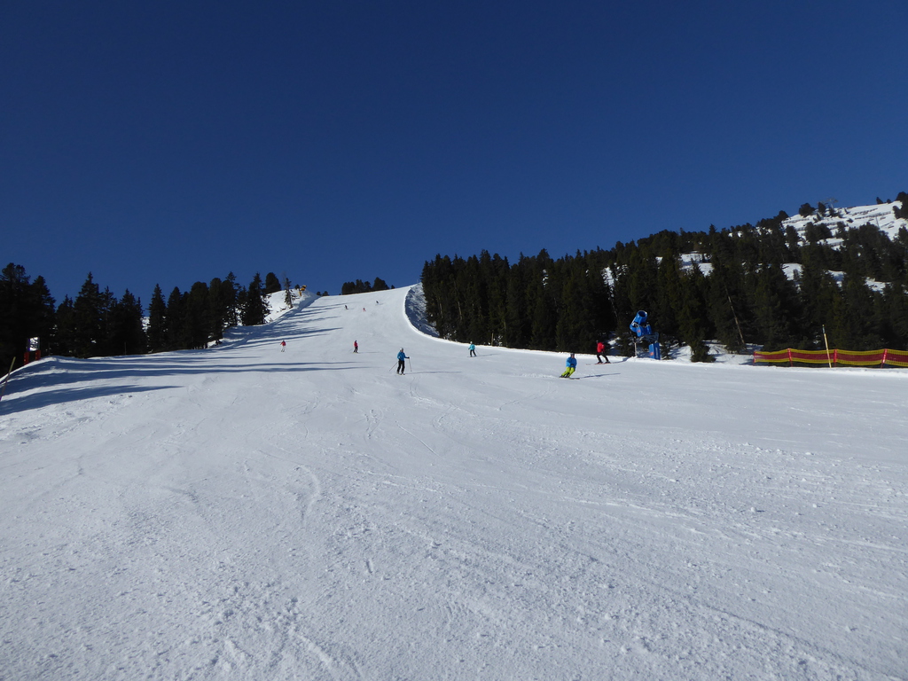 p1170561c8sxd.jpg