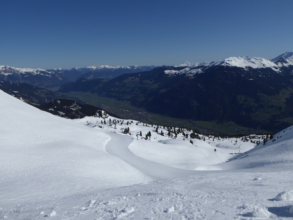 p1170578zrst3.jpg
