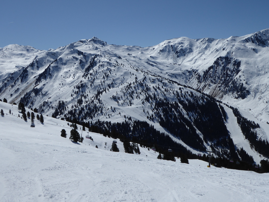 p117065703uex.jpg