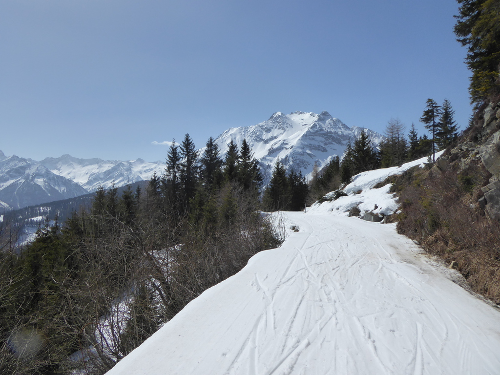 p11708490ssme.jpg
