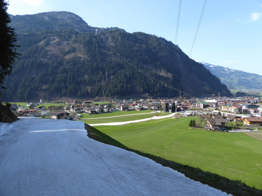p1170932rzuh8.jpg