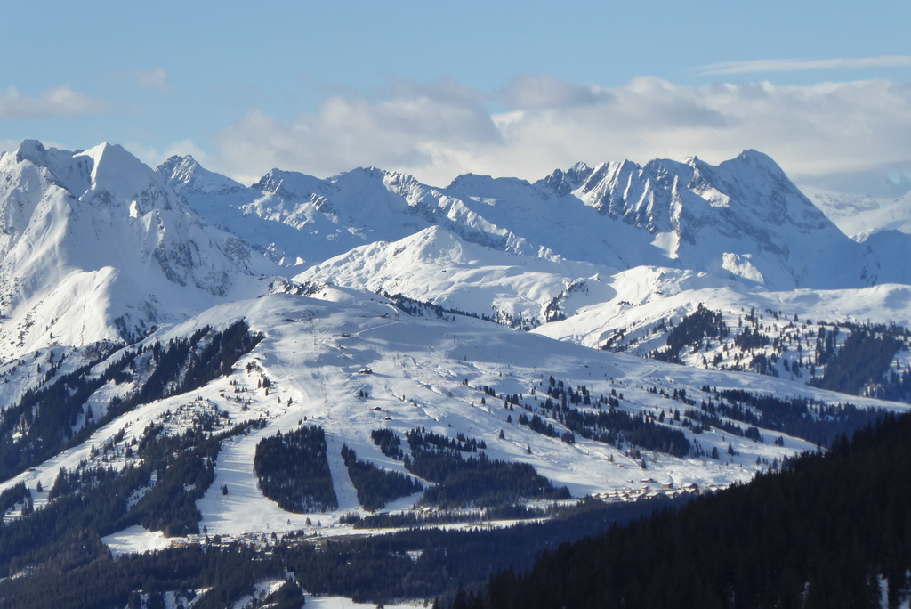 p1200952j9d5d.jpg