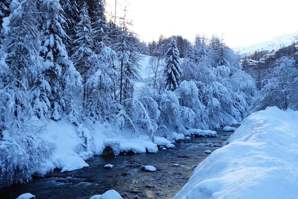 p1210498oyj5i.jpg