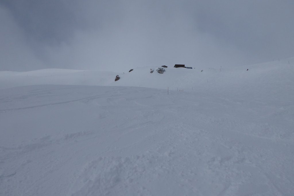 p12206174pkfh.jpg