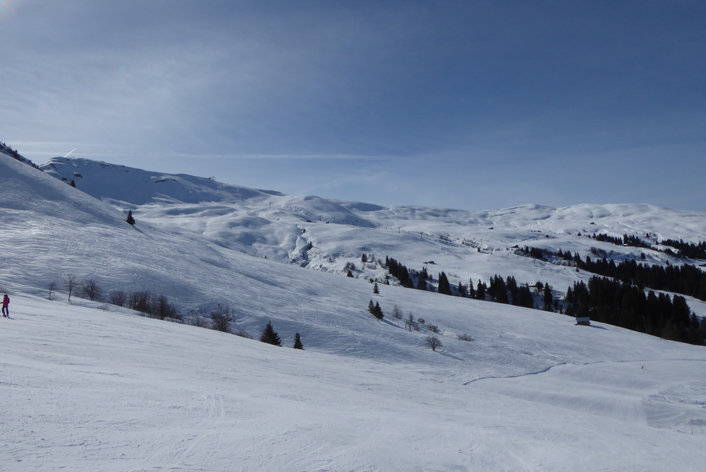 p1230344z6j8m.jpg