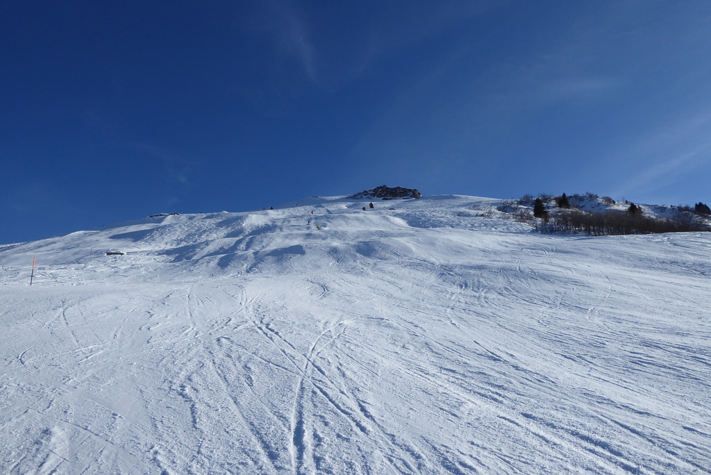 p1230394g6kod.jpg