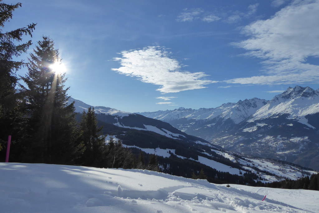 p1230495x3jdh.jpg