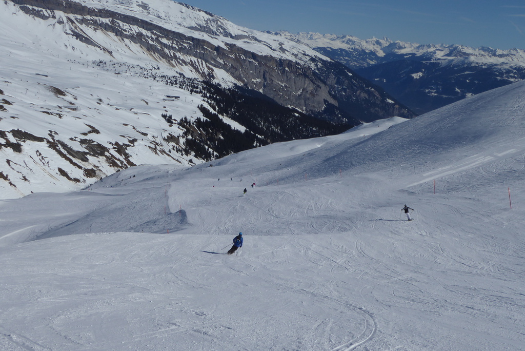 p1230700bdjmp.jpg