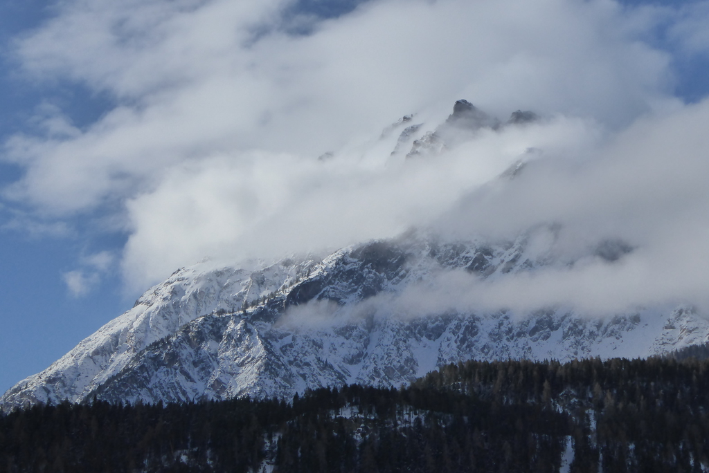 p1230842lkjbq.jpg