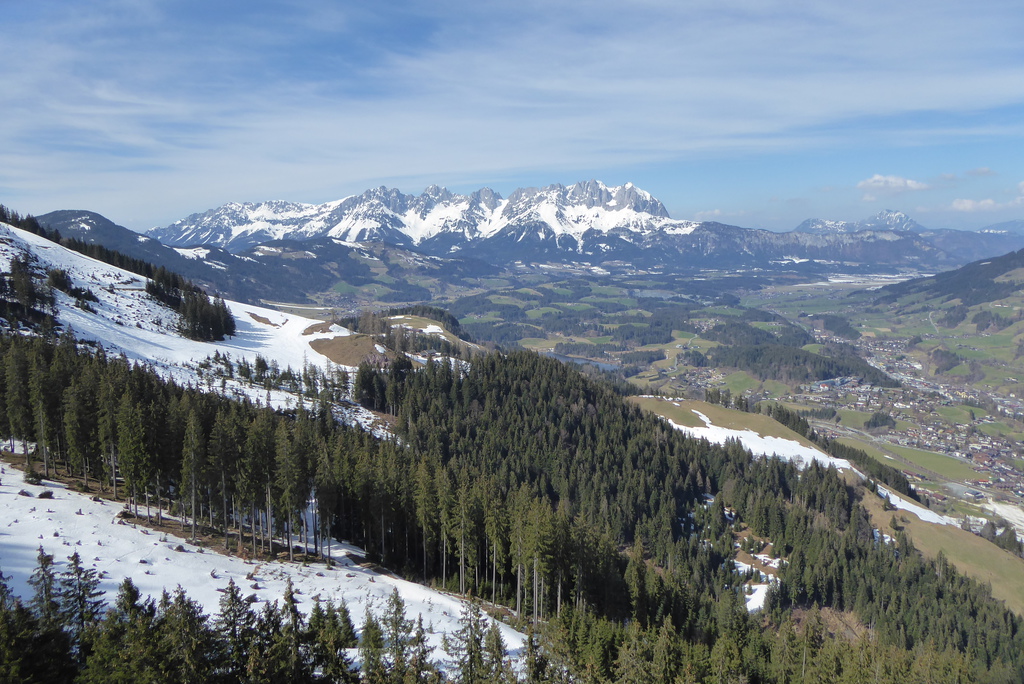 p1250061lsjfy.jpg
