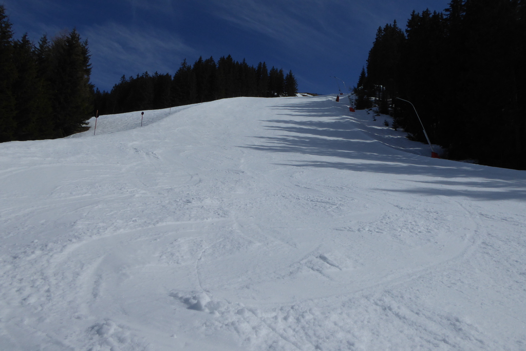 p1250271xejfo.jpg