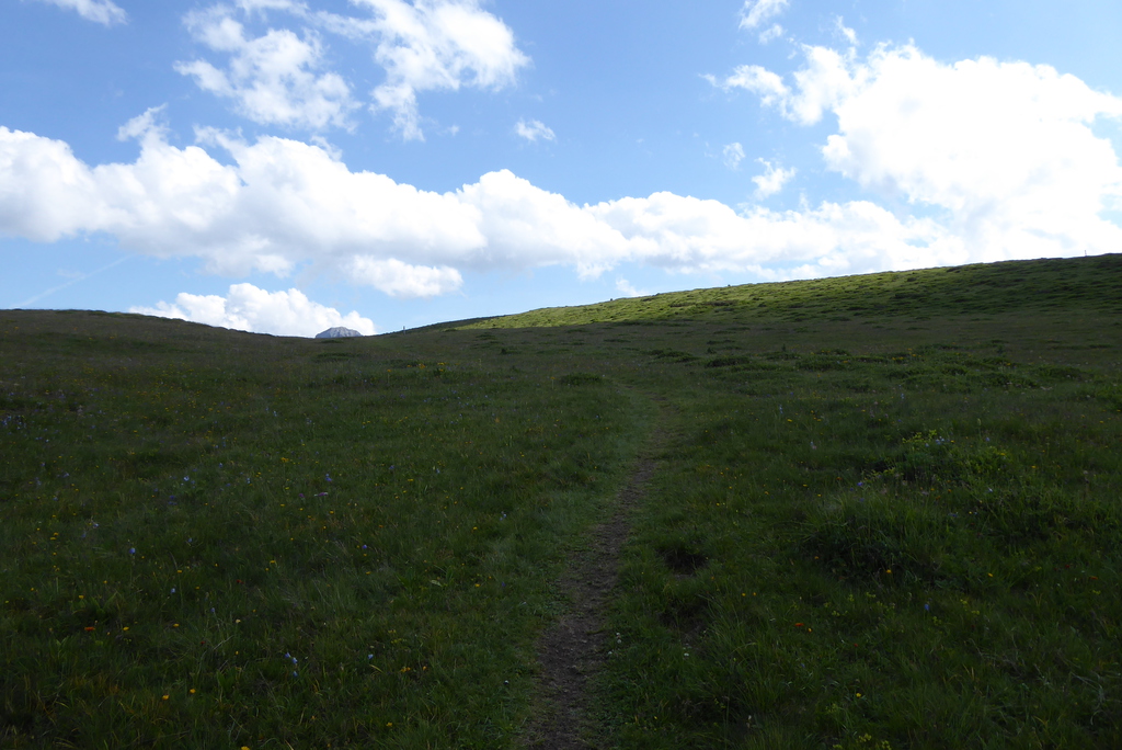 p126014506k09.jpg