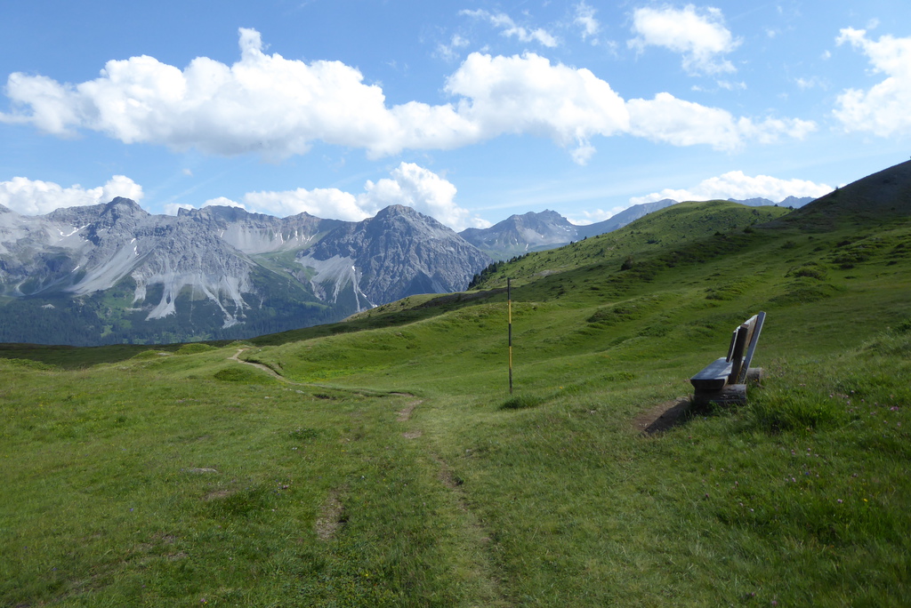 p1260146phj9p.jpg