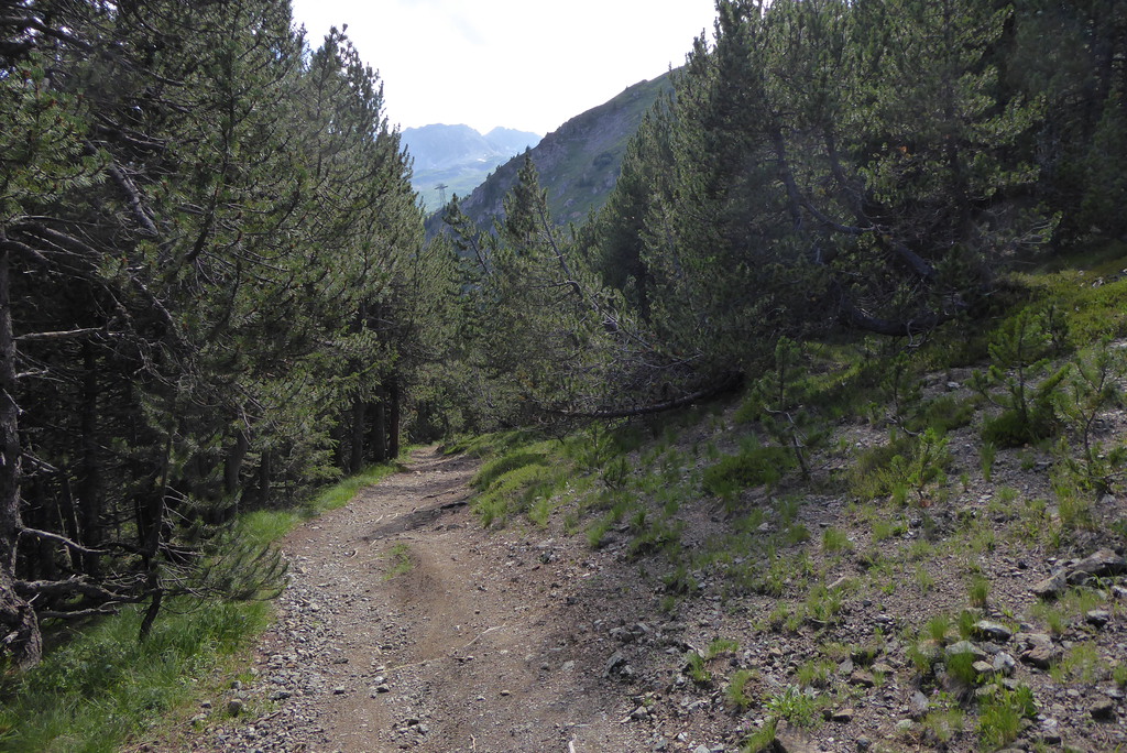 p1260180rfjse.jpg