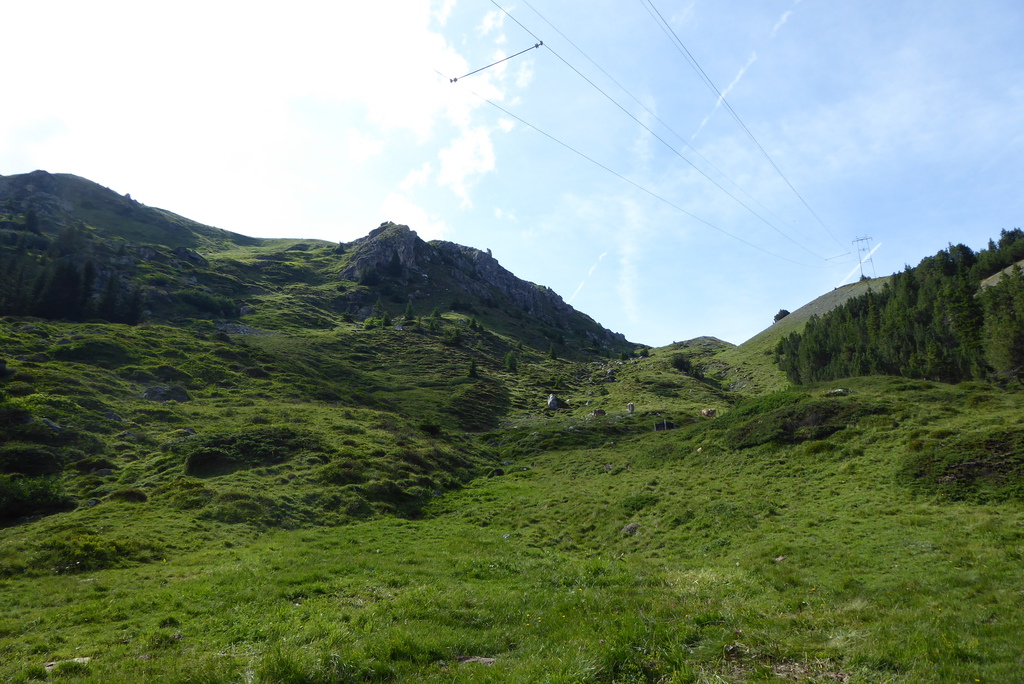 p1260189fjj7s.jpg