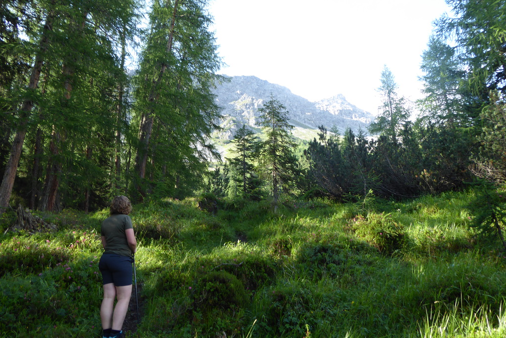 p12602772mkht.jpg