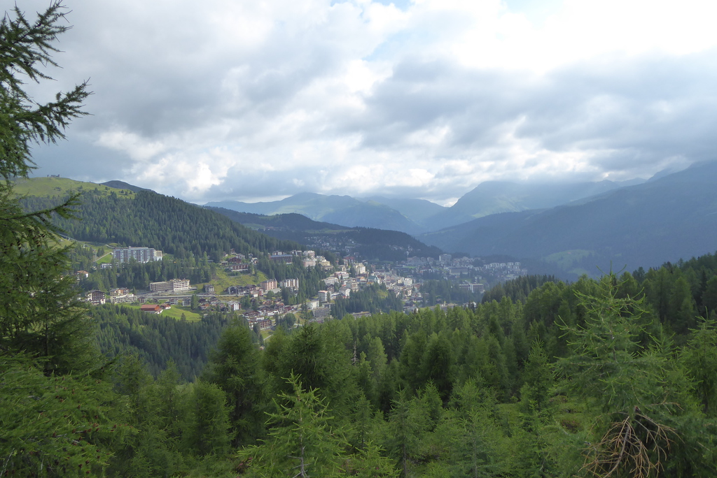 p12602891ijy5.jpg