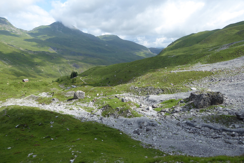 p1260351ldkhd.jpg