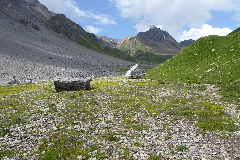 p1260390lljoi.jpg