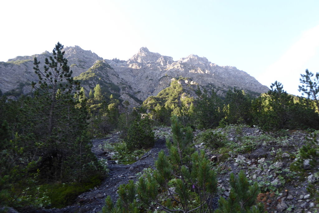 p1260561hej6n.jpg