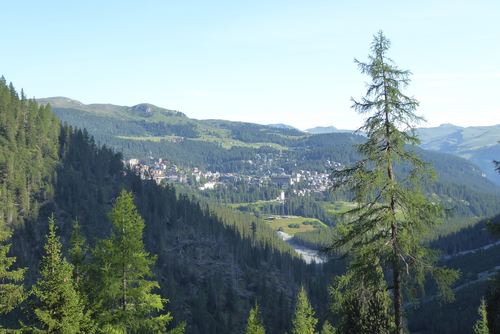 p1260566tzkeu.jpg