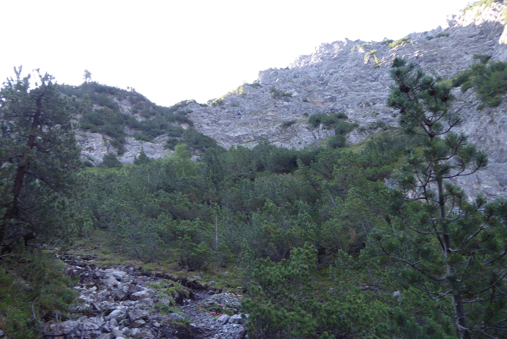 p1260592jjjys.jpg