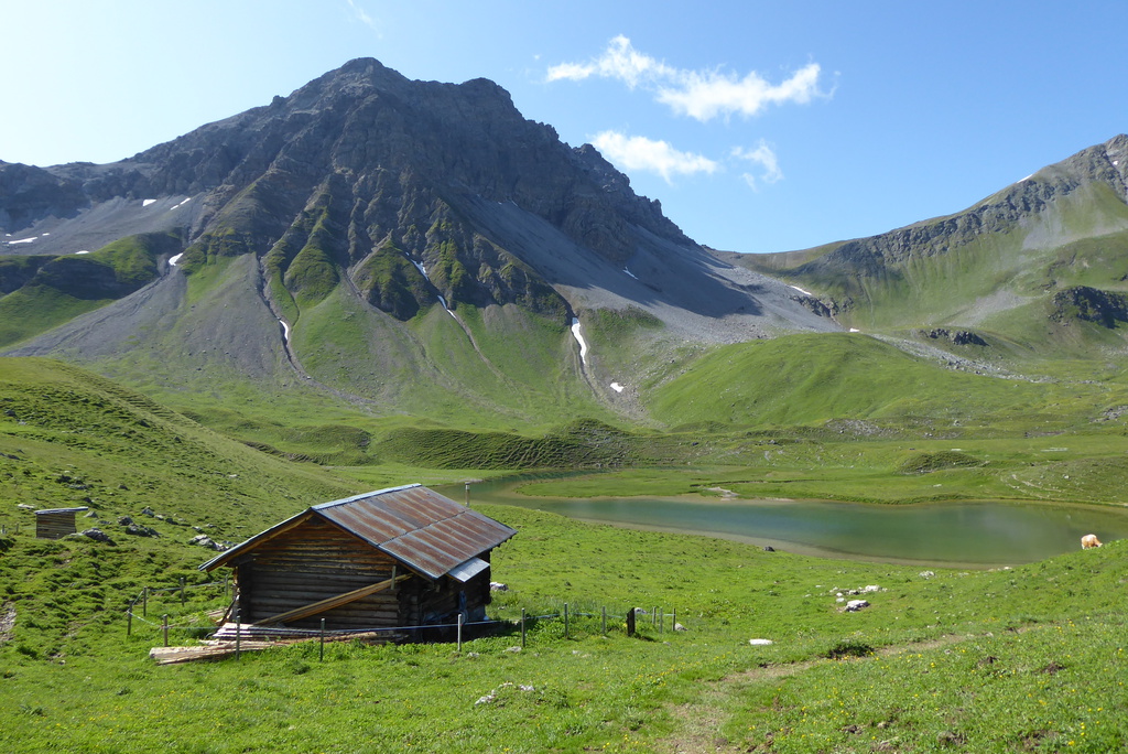 p126065354j1k.jpg