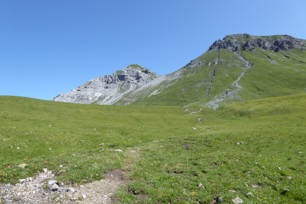 p1260661dlj6i.jpg
