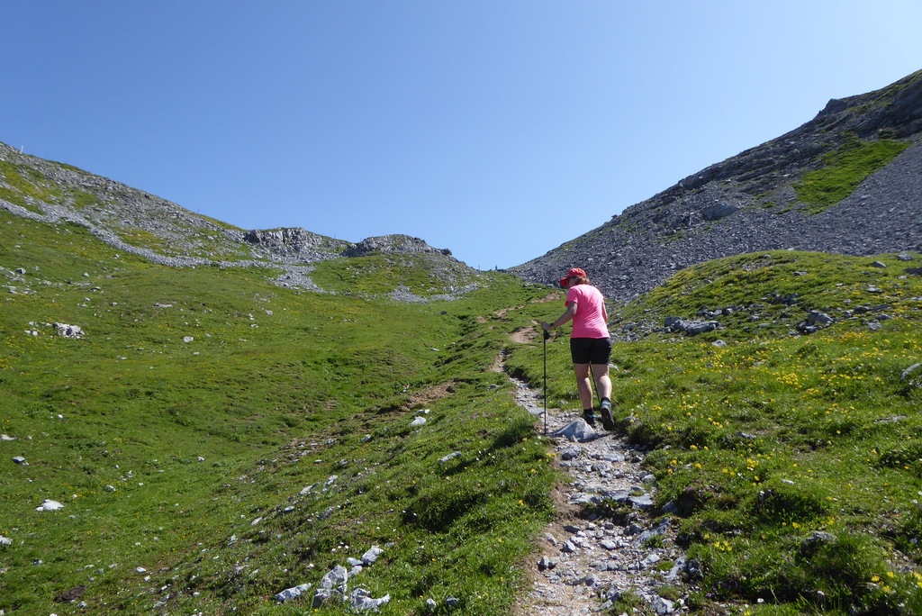 p1260672kbkt1.jpg