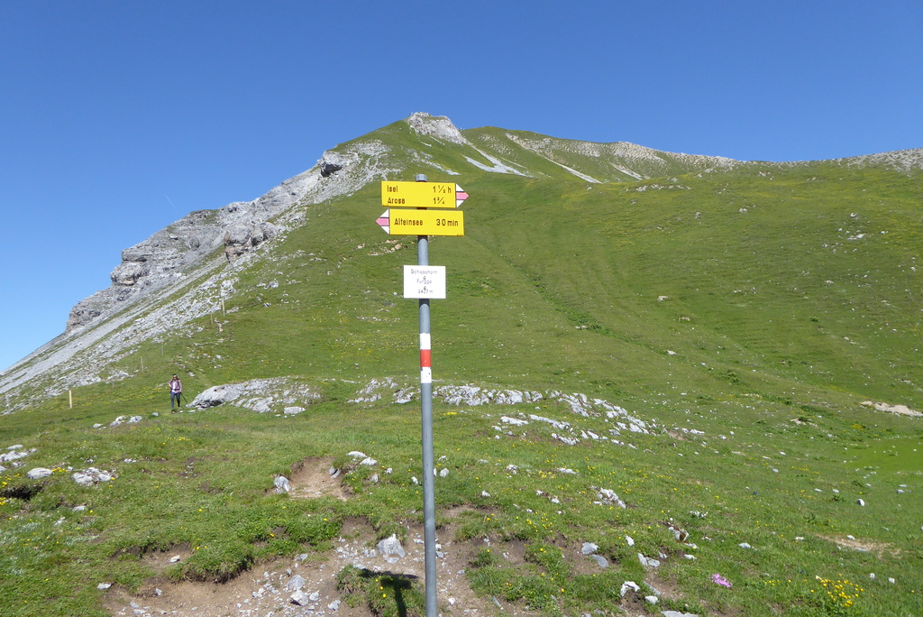 p1260679vnkwq.jpg