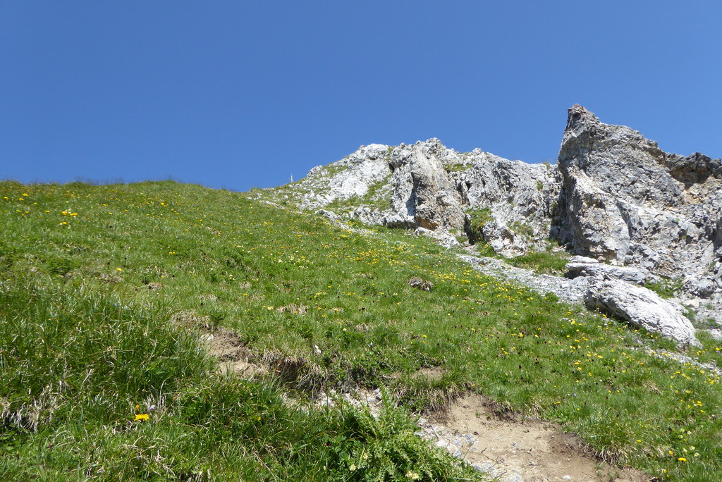 p1260698hgkd8.jpg