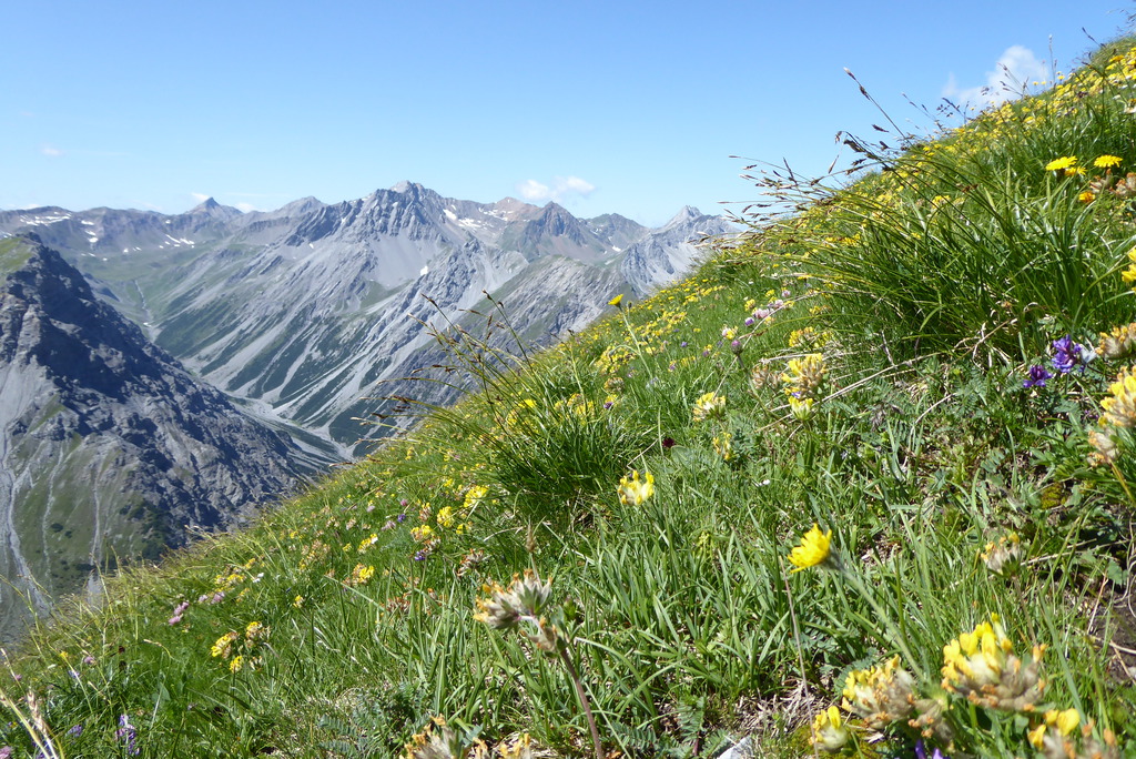 p1260702mqktn.jpg
