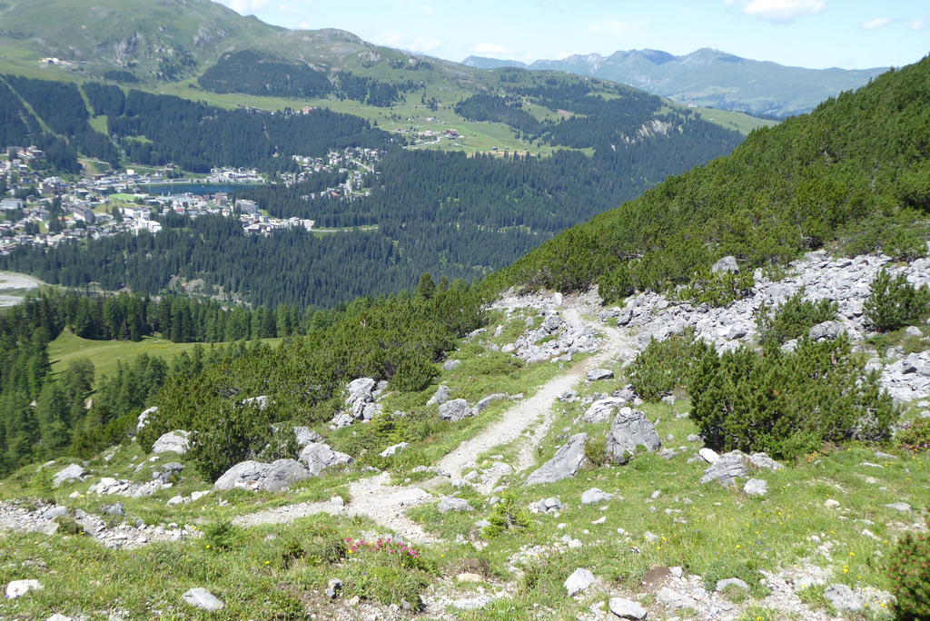 p1260805esknp.jpg