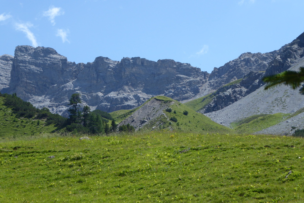 p1260832yyk6q.jpg