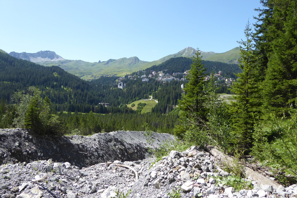 p1260844fajto.jpg