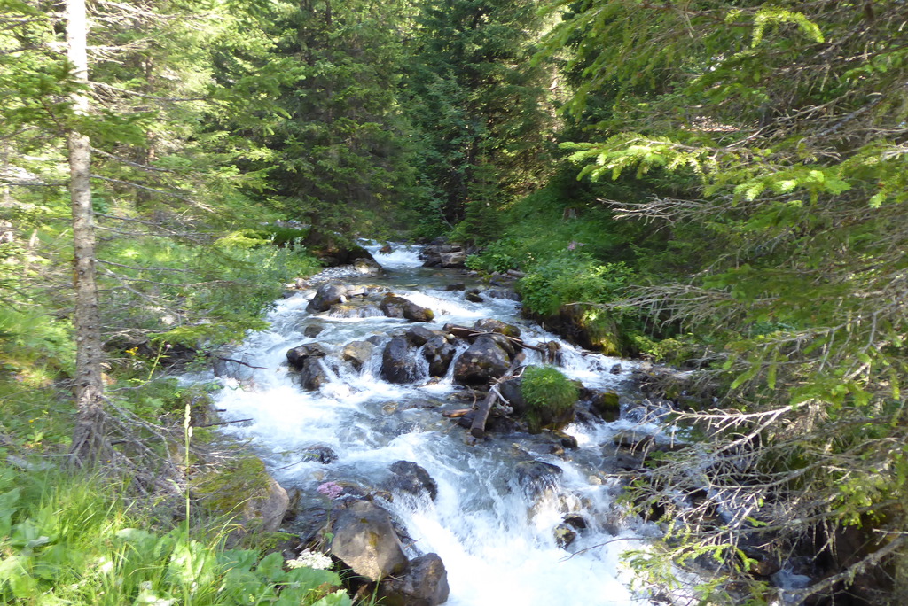 p1260869f5k18.jpg