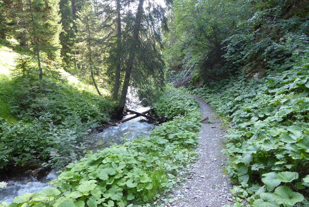 p126087110kdx.jpg