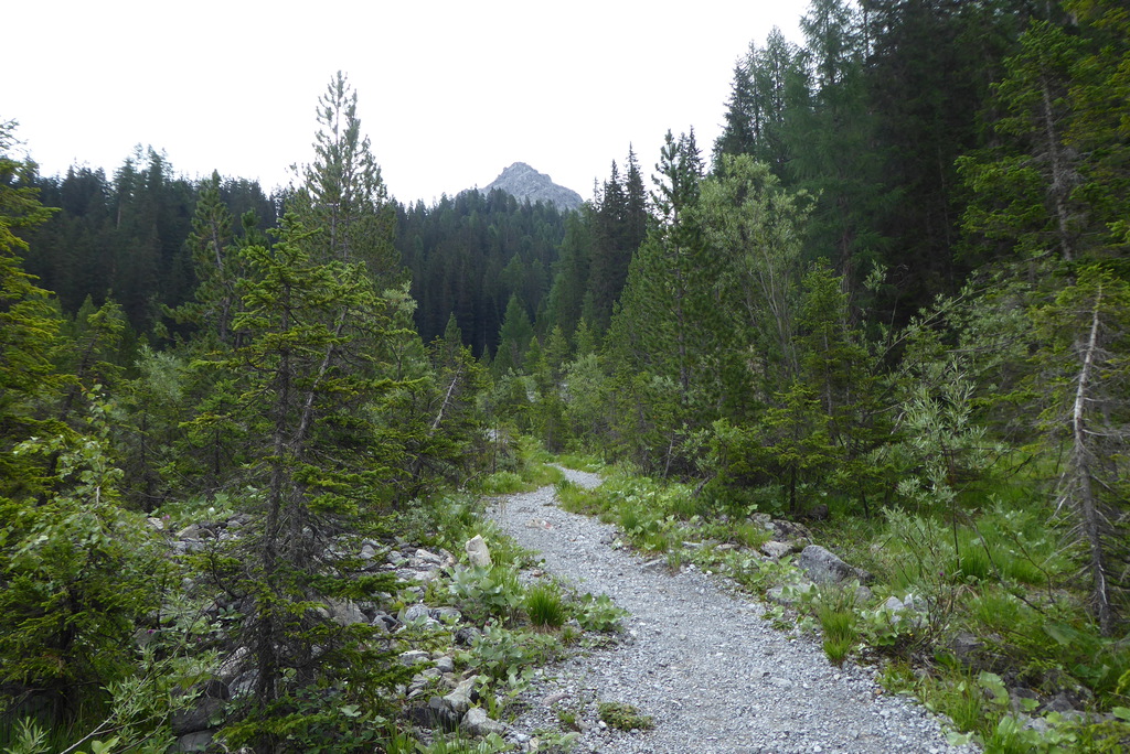 p1260880vikth.jpg