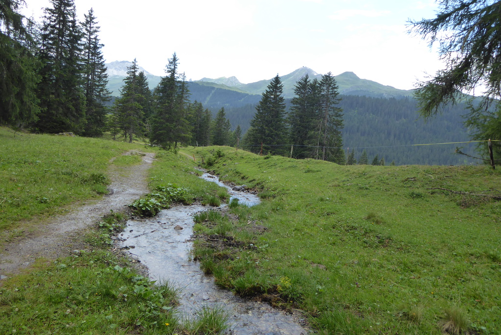 p1260930pukjz.jpg