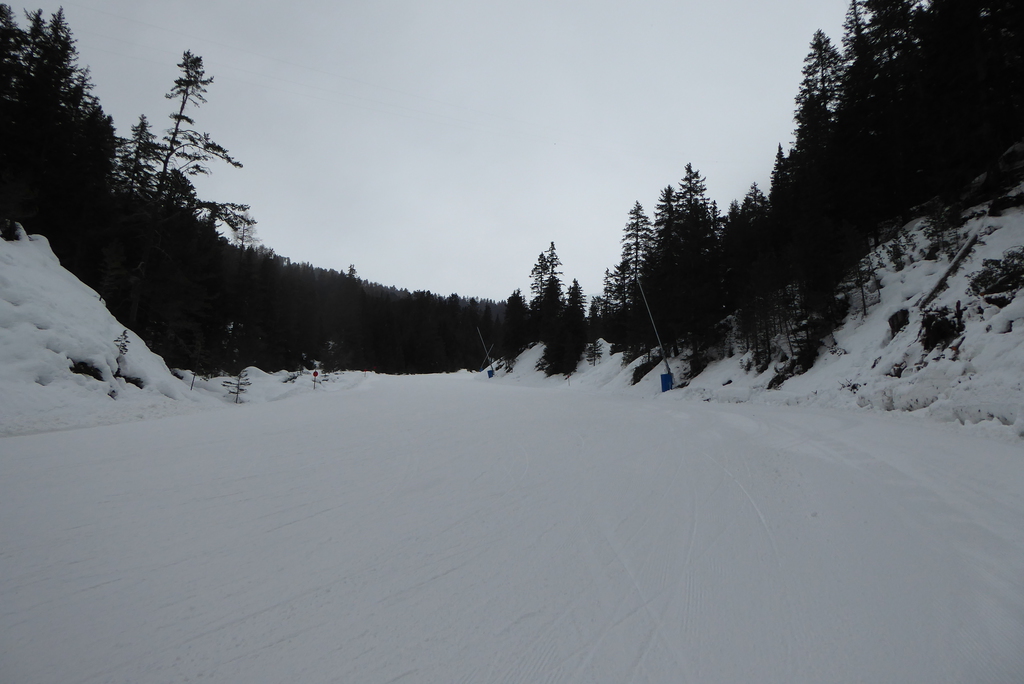 p1270229cjj8c.jpg