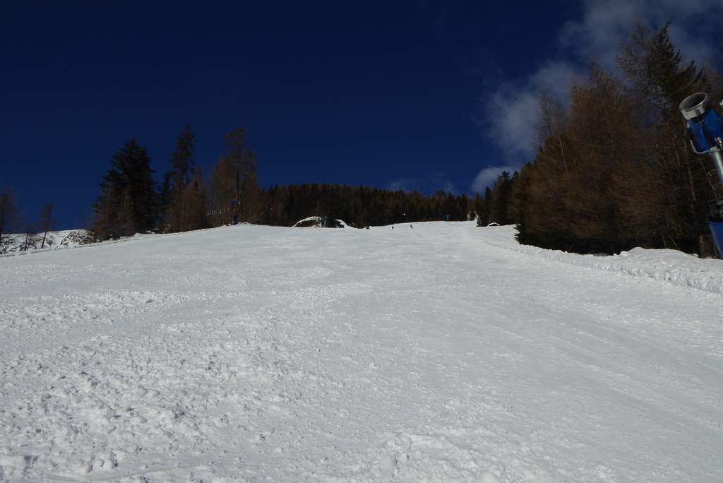 p1280235onjda.jpg